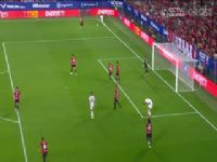 ���� ��������vs�϶��Ͷ����� 20230819���ܳ��ۣ�