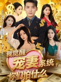 �Ҿ��ѳ���ϵͳ��������ʲô