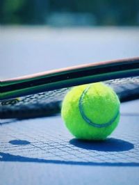 WTA�ɲ���վ�����գ������VS��������