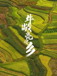 ţ��������