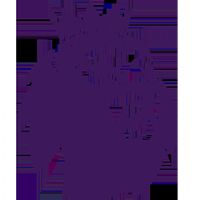 Ӣ�� �Ƕ�vs����20250817